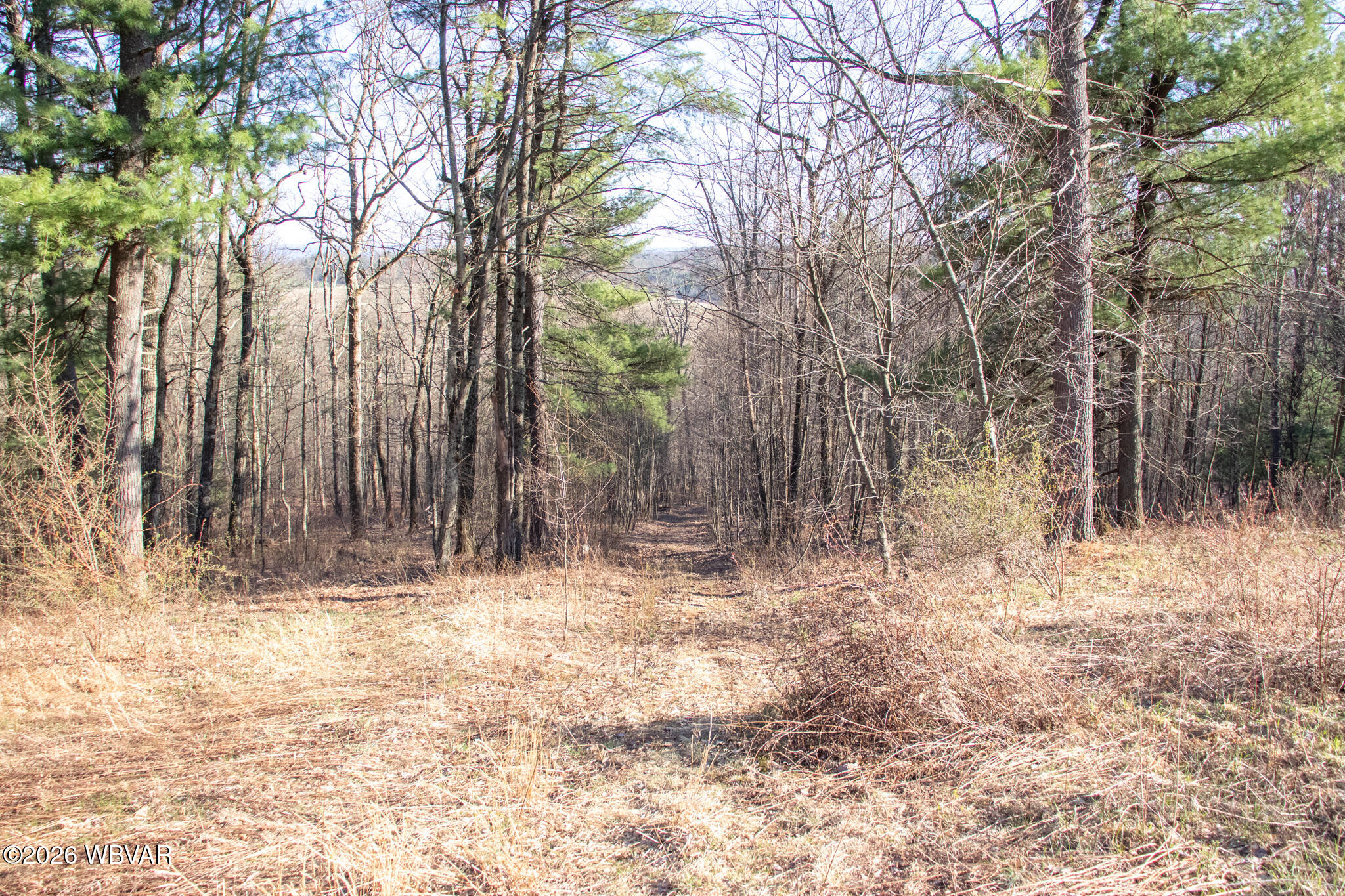 Properties 6 5700 west route 973 highway