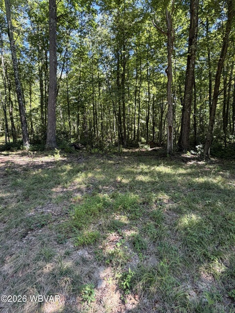 Photo for PARCEL 103 PA-239