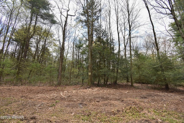 851 WAGMYR LN, LOGANTON, PA 17747 - Image d7d8a3fb7f7feb91e3711126cd93b875/12280796