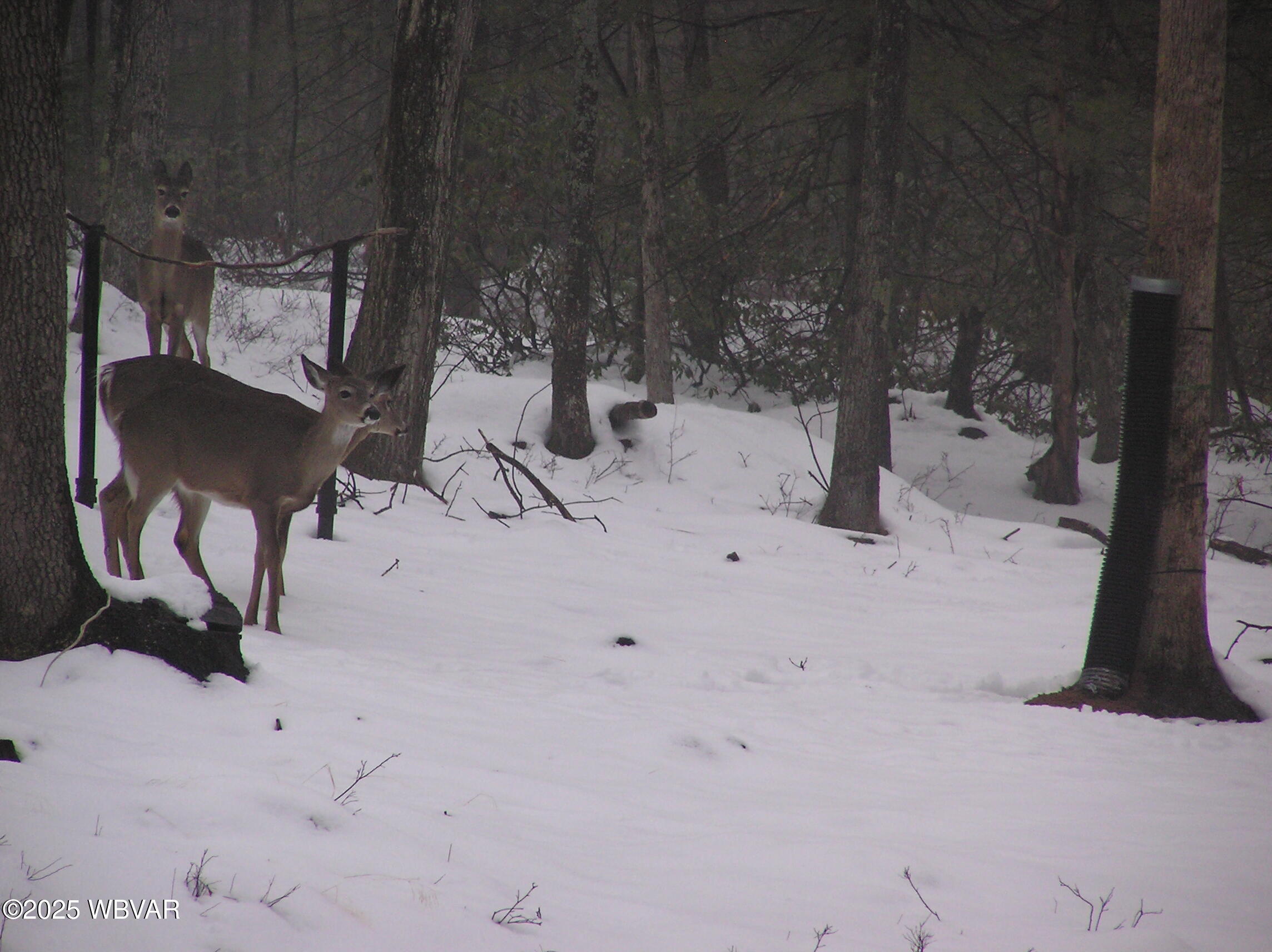 Lock Haven, Pennsylvania 17745, United States, ,Land,Active,35465