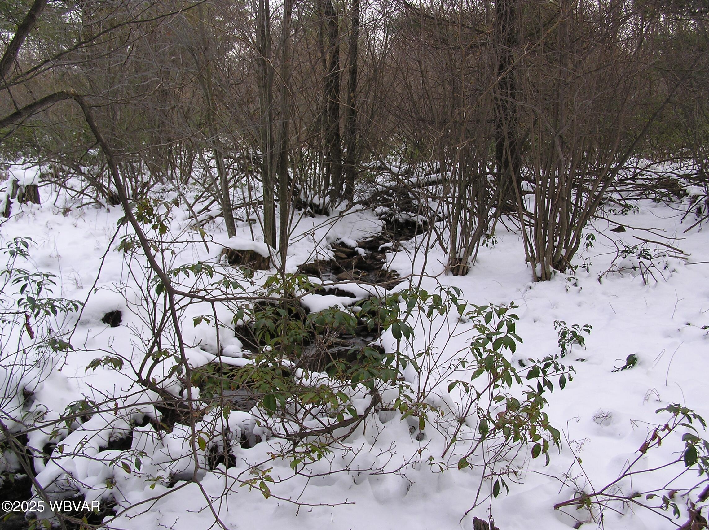 Lock Haven, Pennsylvania 17745, United States, ,Land,Active,35465