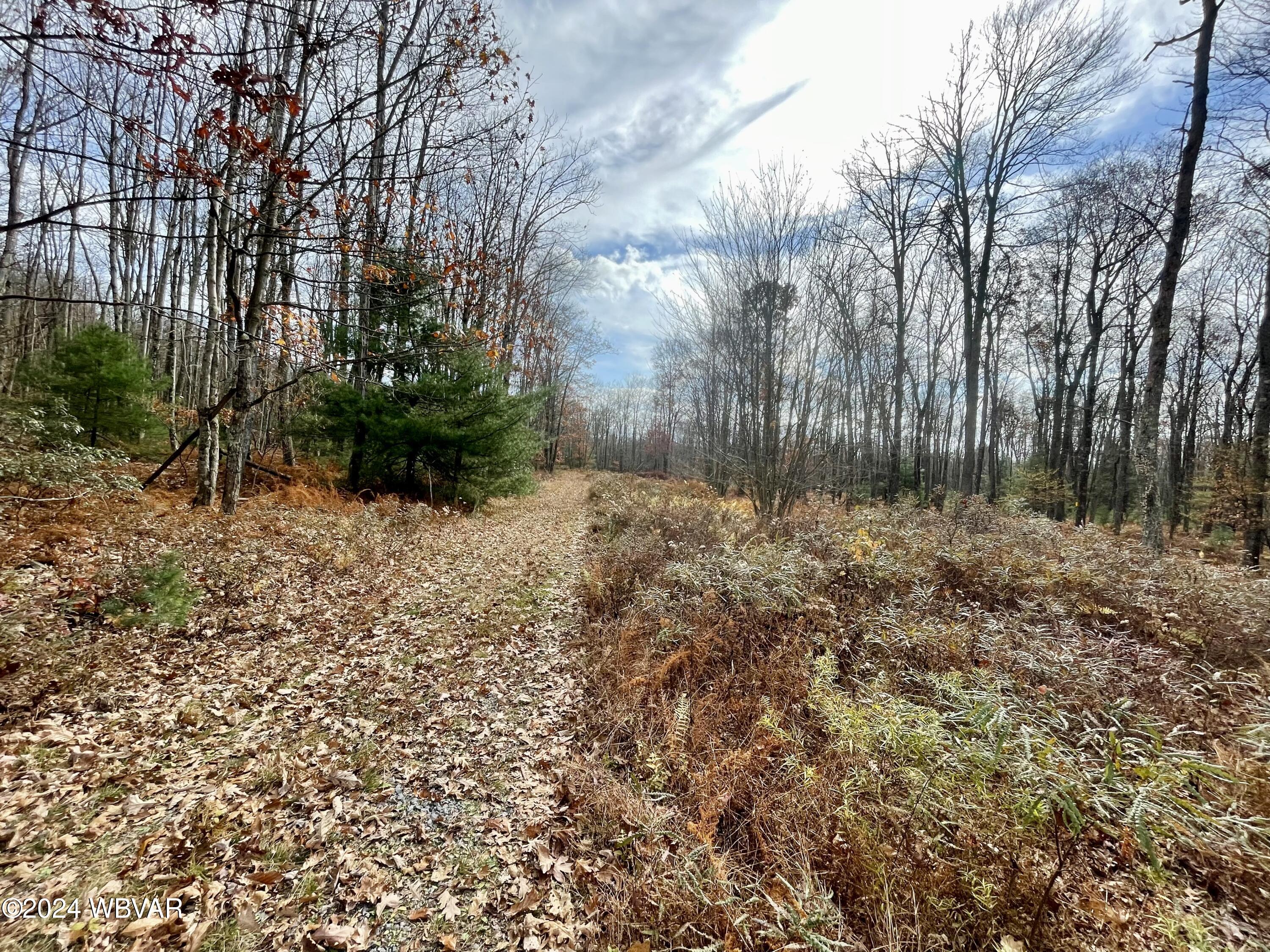 Lock Haven, Pennsylvania 17745, United States, ,Land,Active,35465