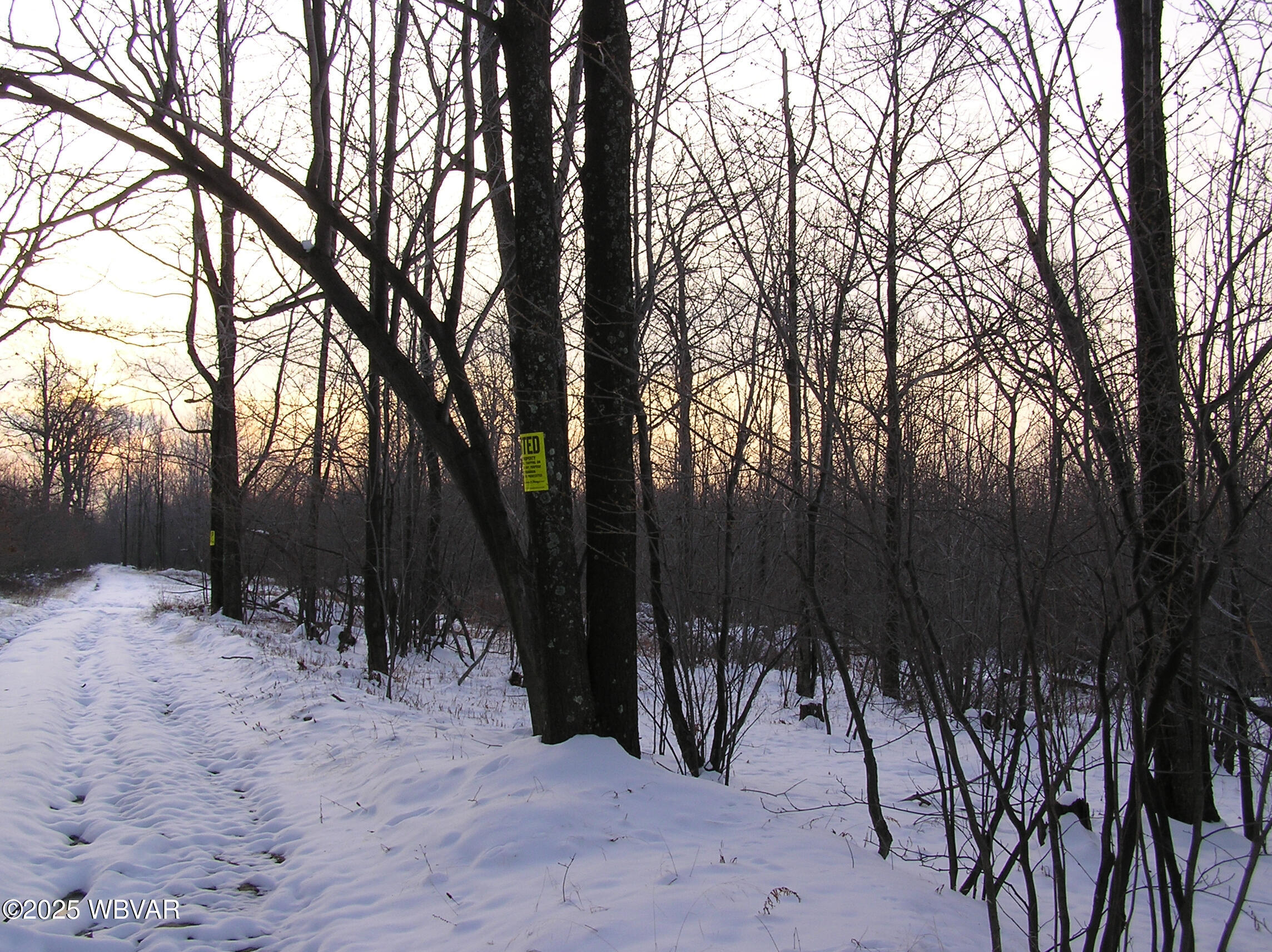 Lock Haven, Pennsylvania 17745, United States, ,Land,Active,35465