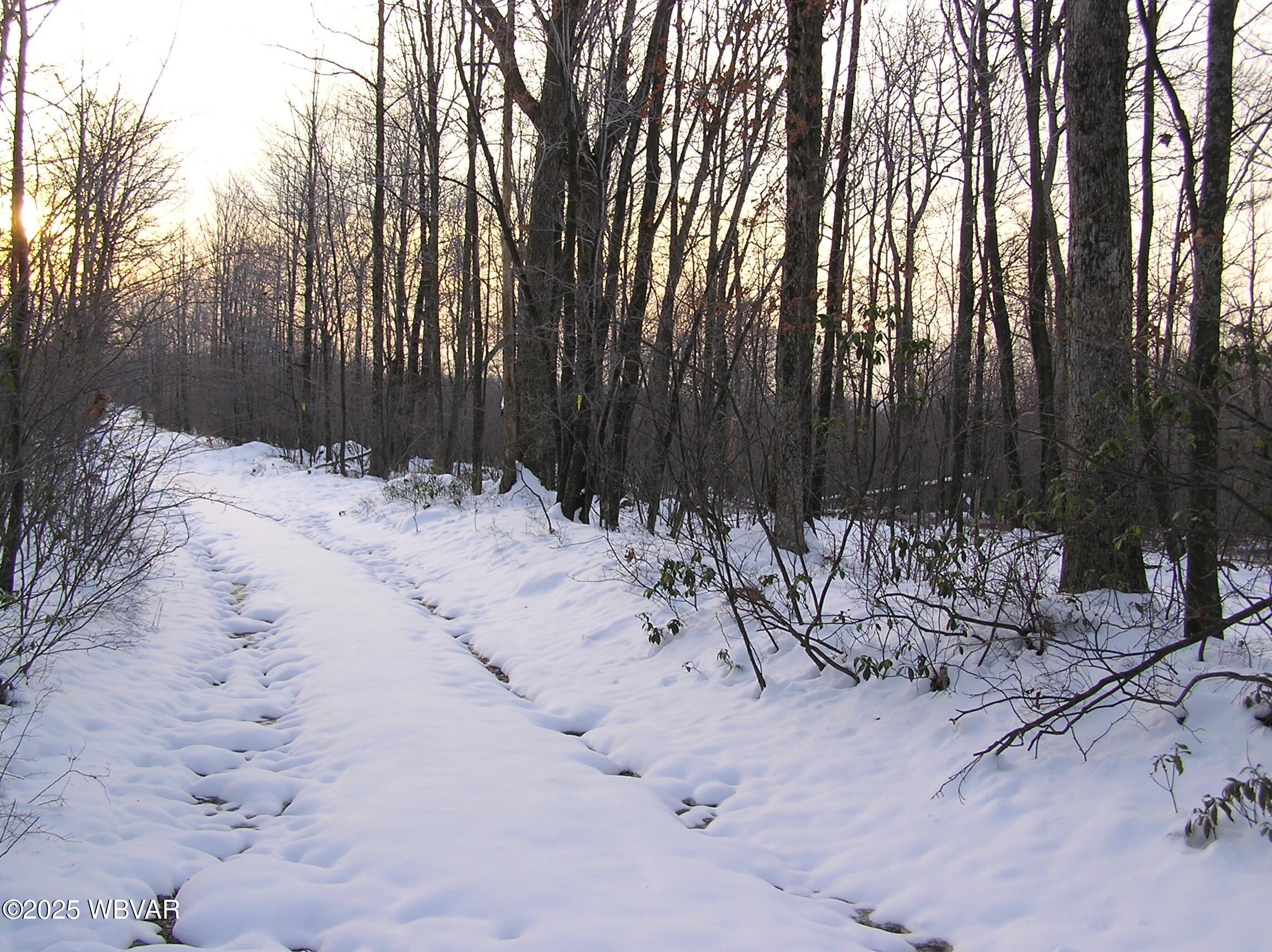 Lock Haven, Pennsylvania 17745, United States, ,Land,Active,35465