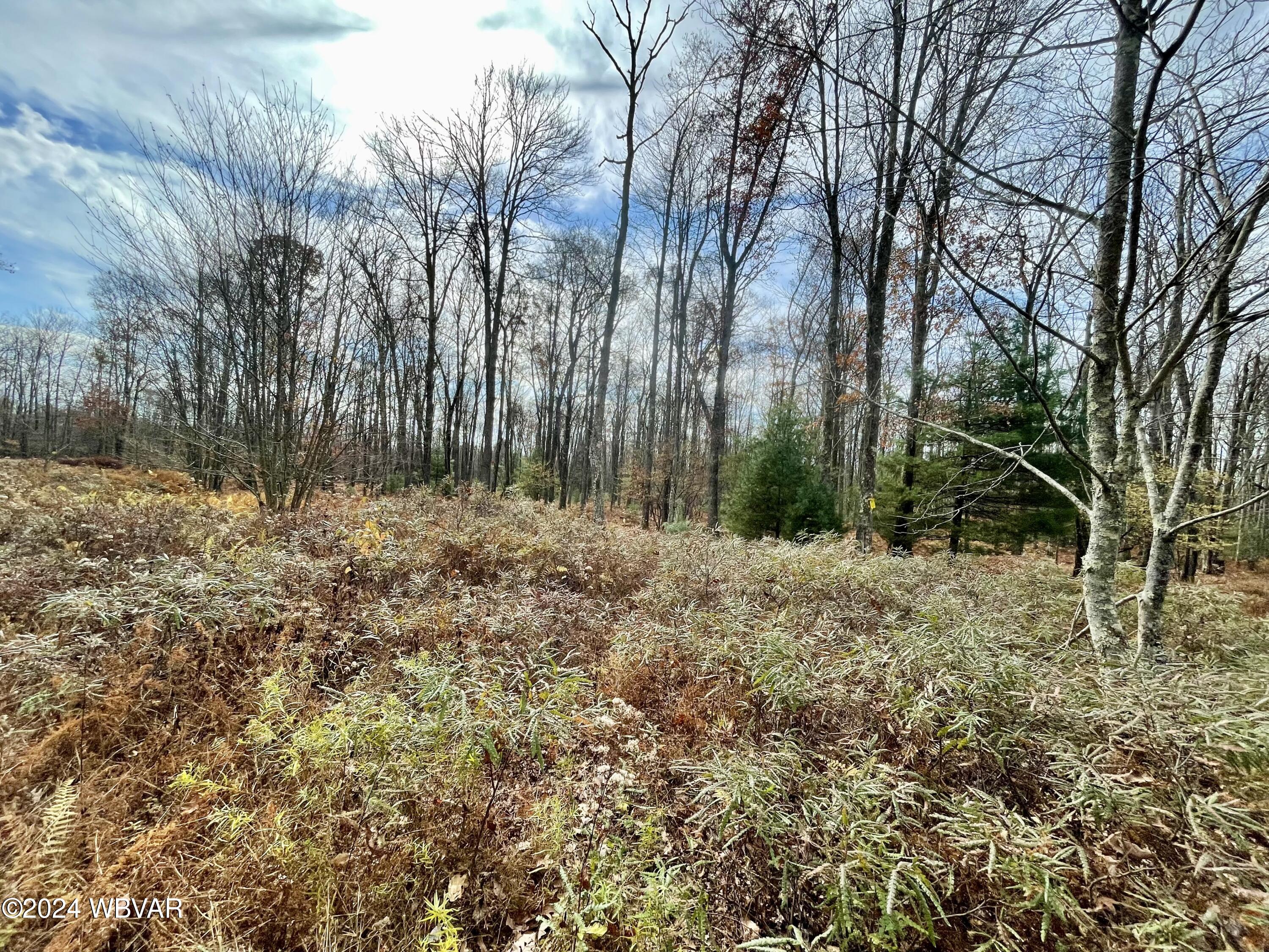 Lock Haven, Pennsylvania 17745, United States, ,Land,Active,35465 Lock Haven, Pennsylvania 17745, United States, ,Land,Active,35465