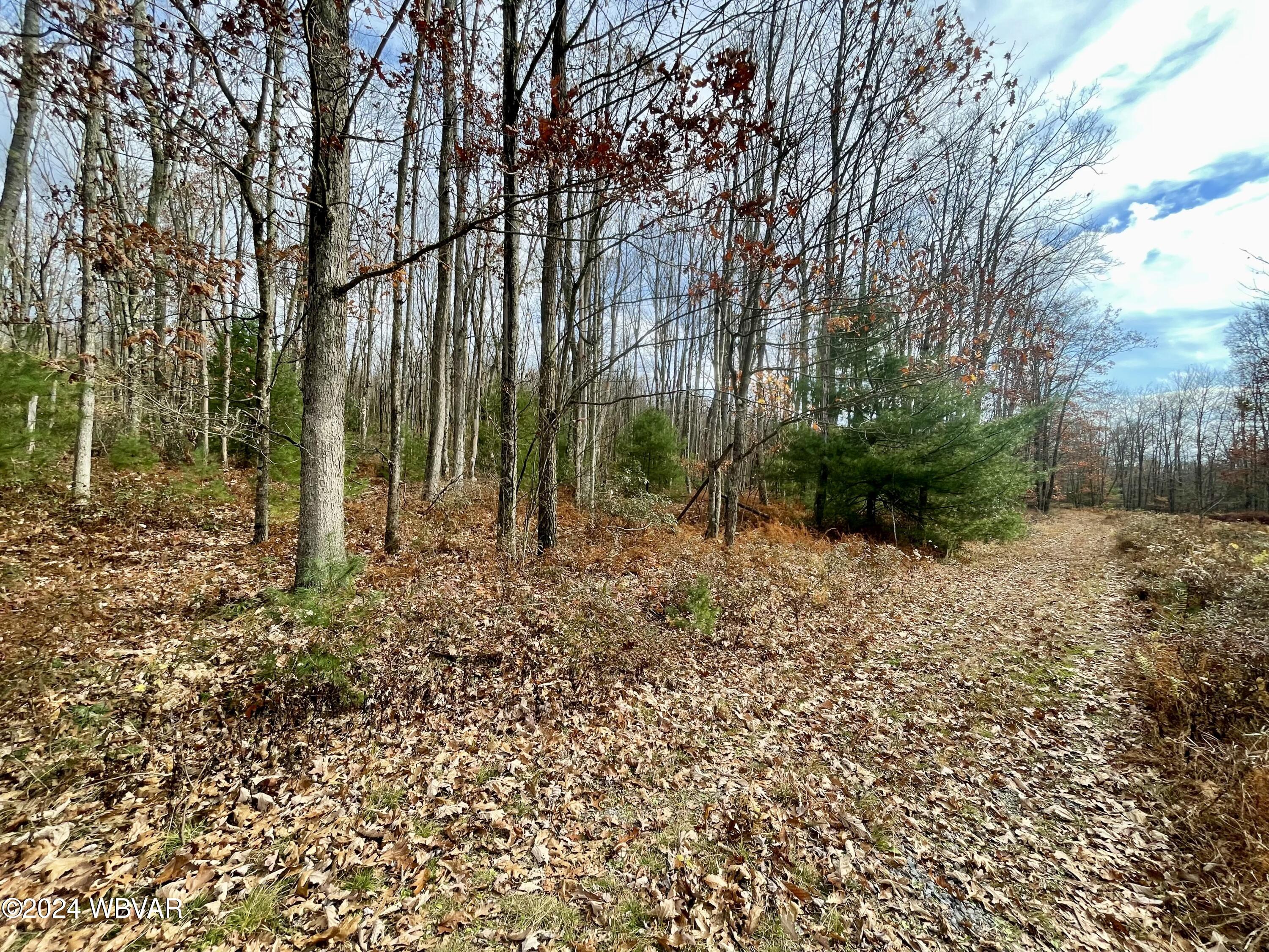 Lock Haven, Pennsylvania 17745, United States, ,Land,Active,35465