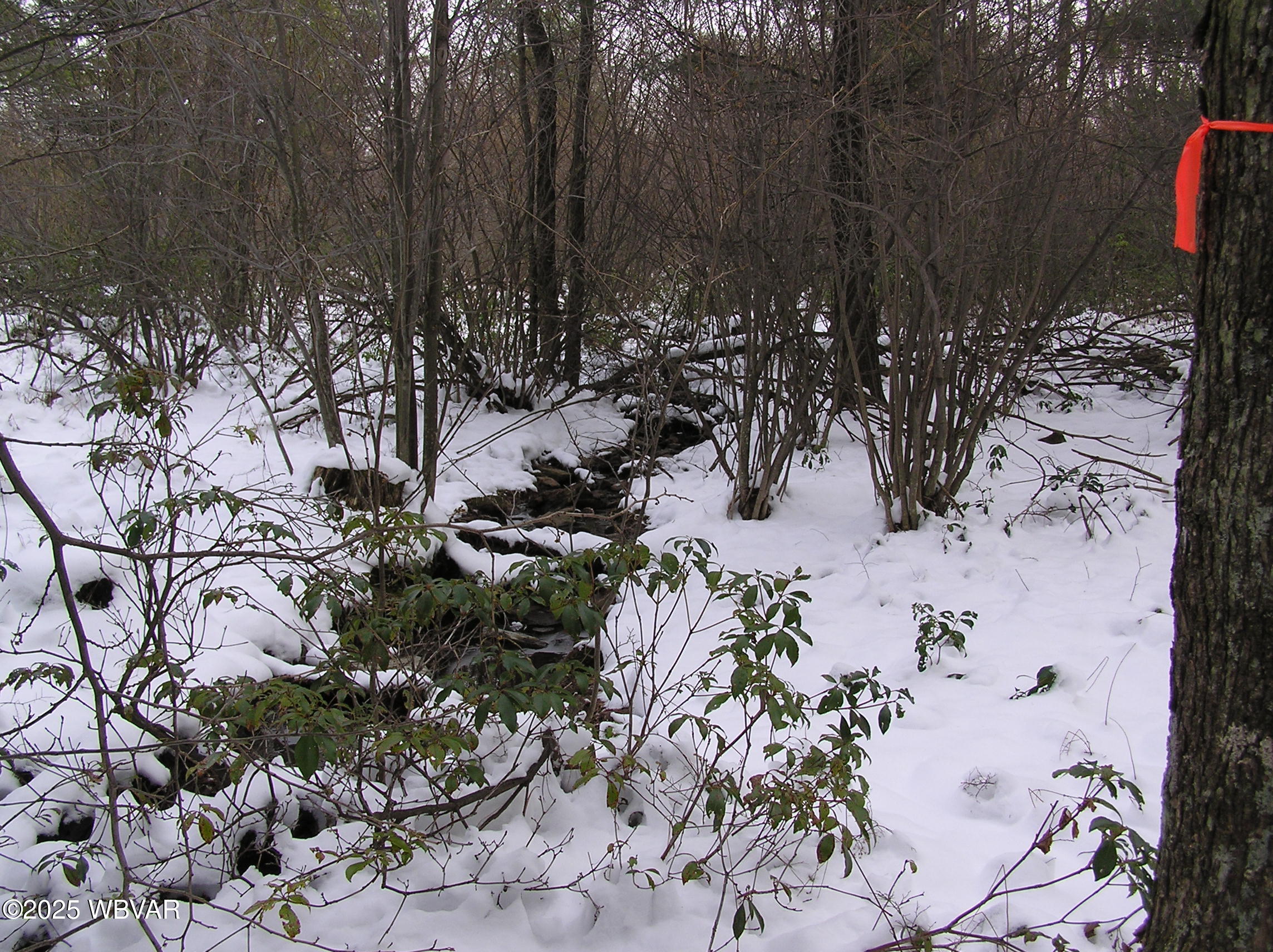 Lock Haven, Pennsylvania 17745, United States, ,Land,Active,35465