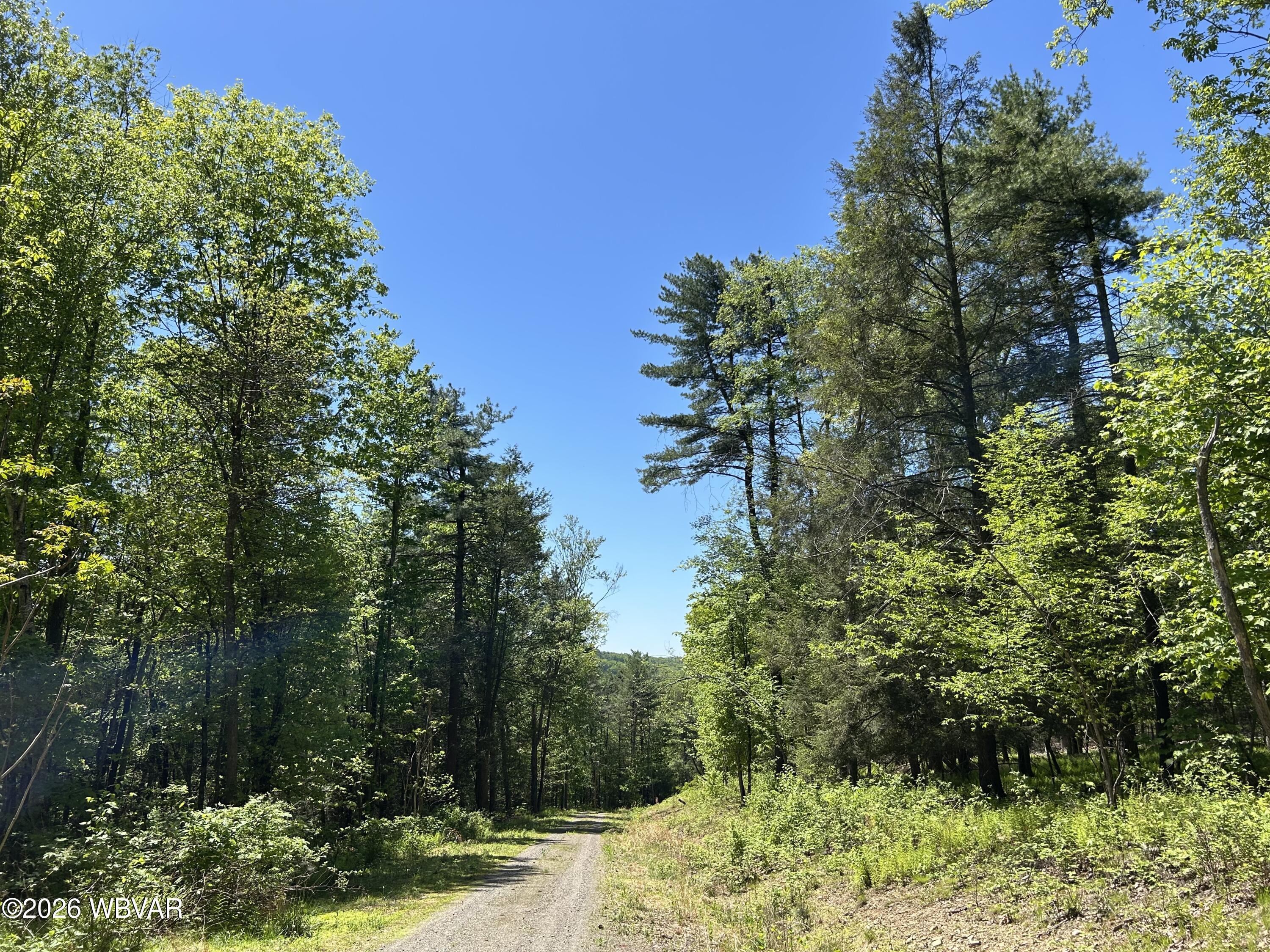 Properties 3 Parcel 112 tallman hollow road