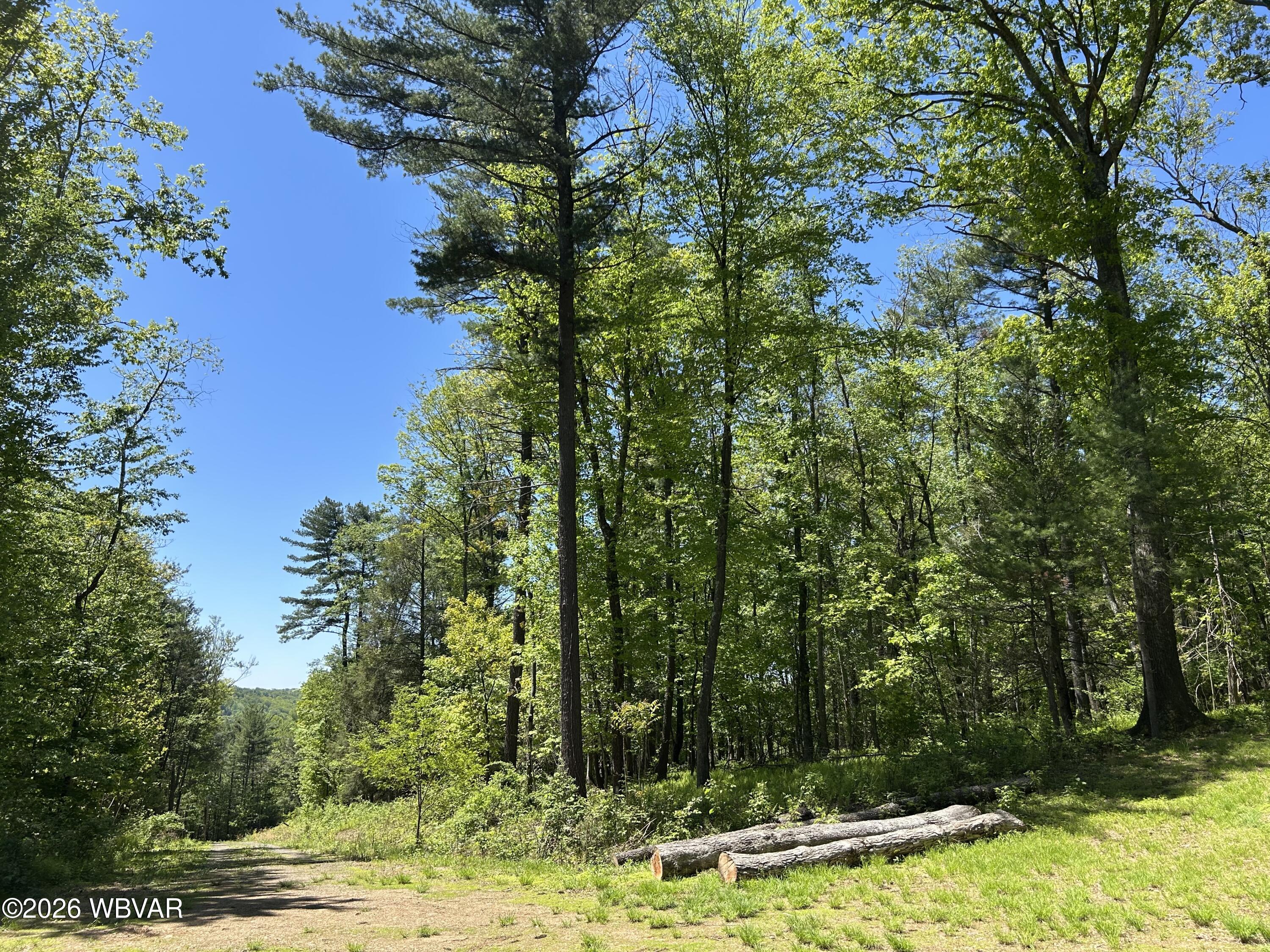 Properties 4 Parcel 112 tallman hollow road