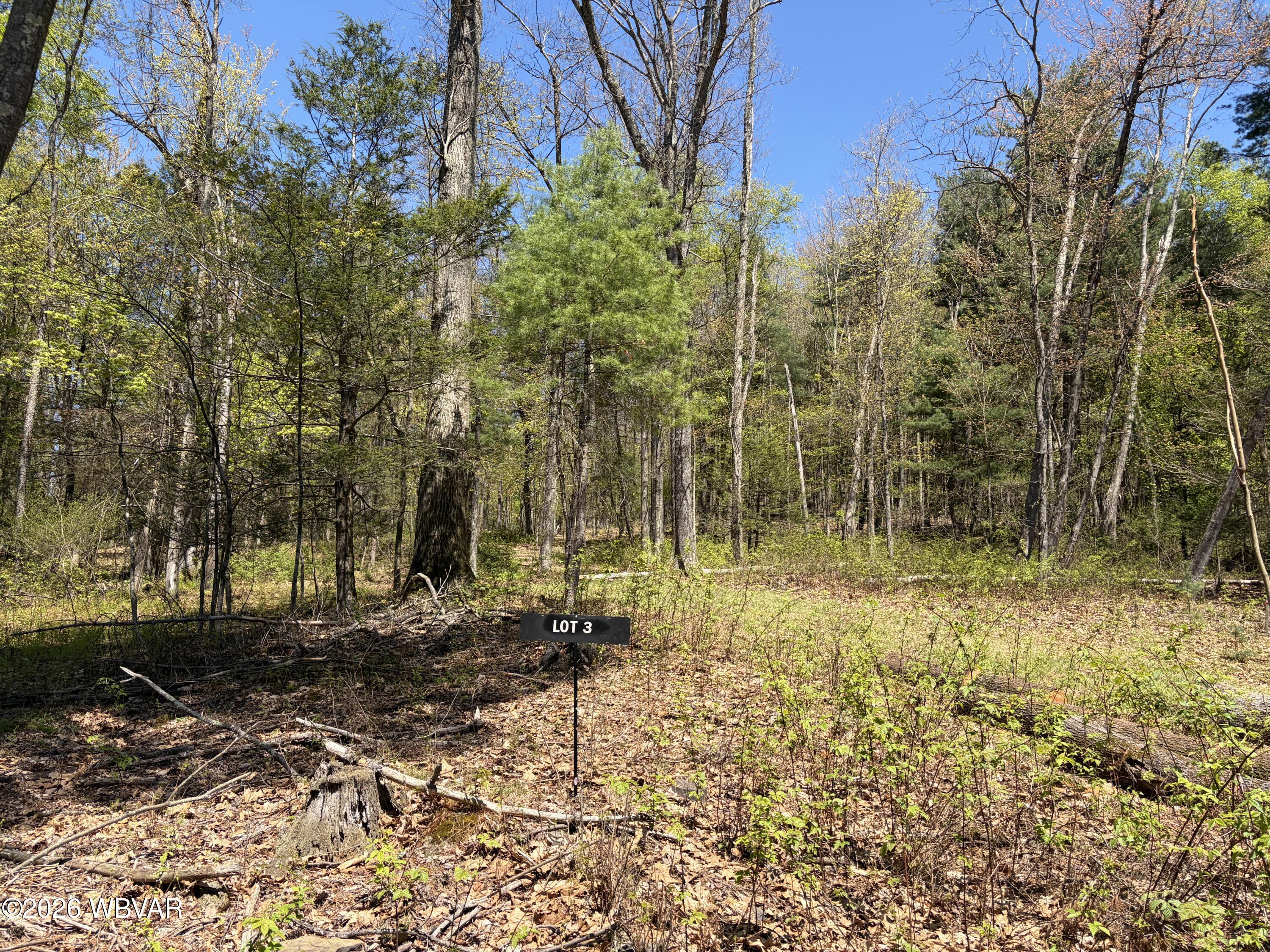 Properties 6 Parcel 112 tallman hollow road
