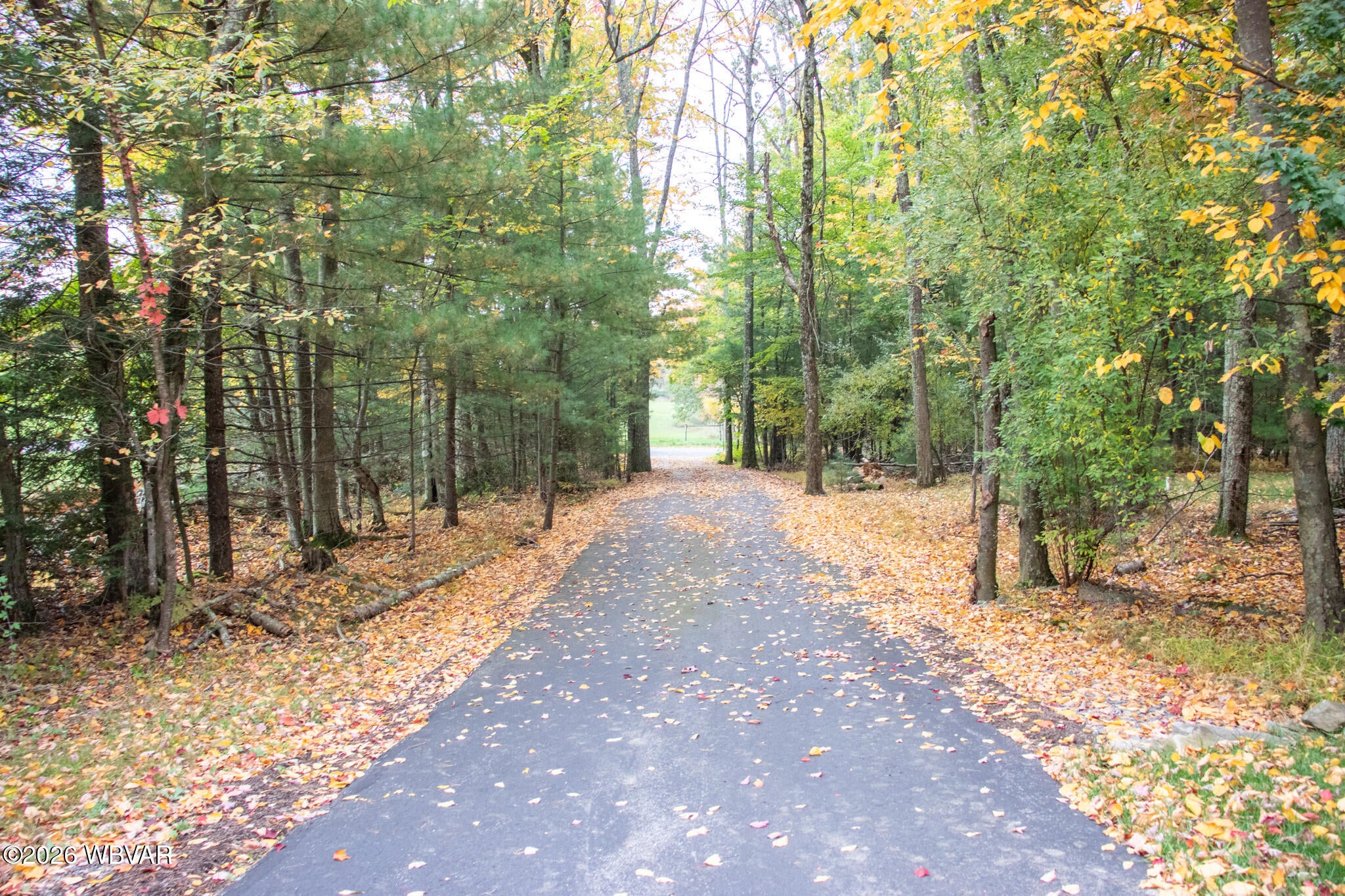 1186 mountain road
