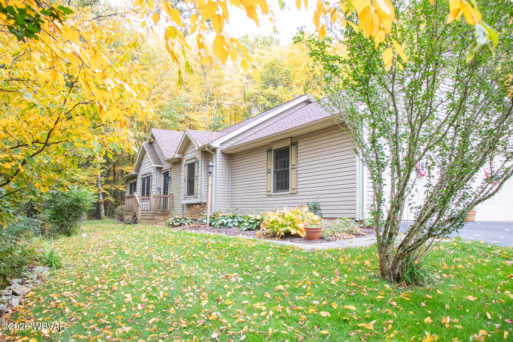 1186 mountain road