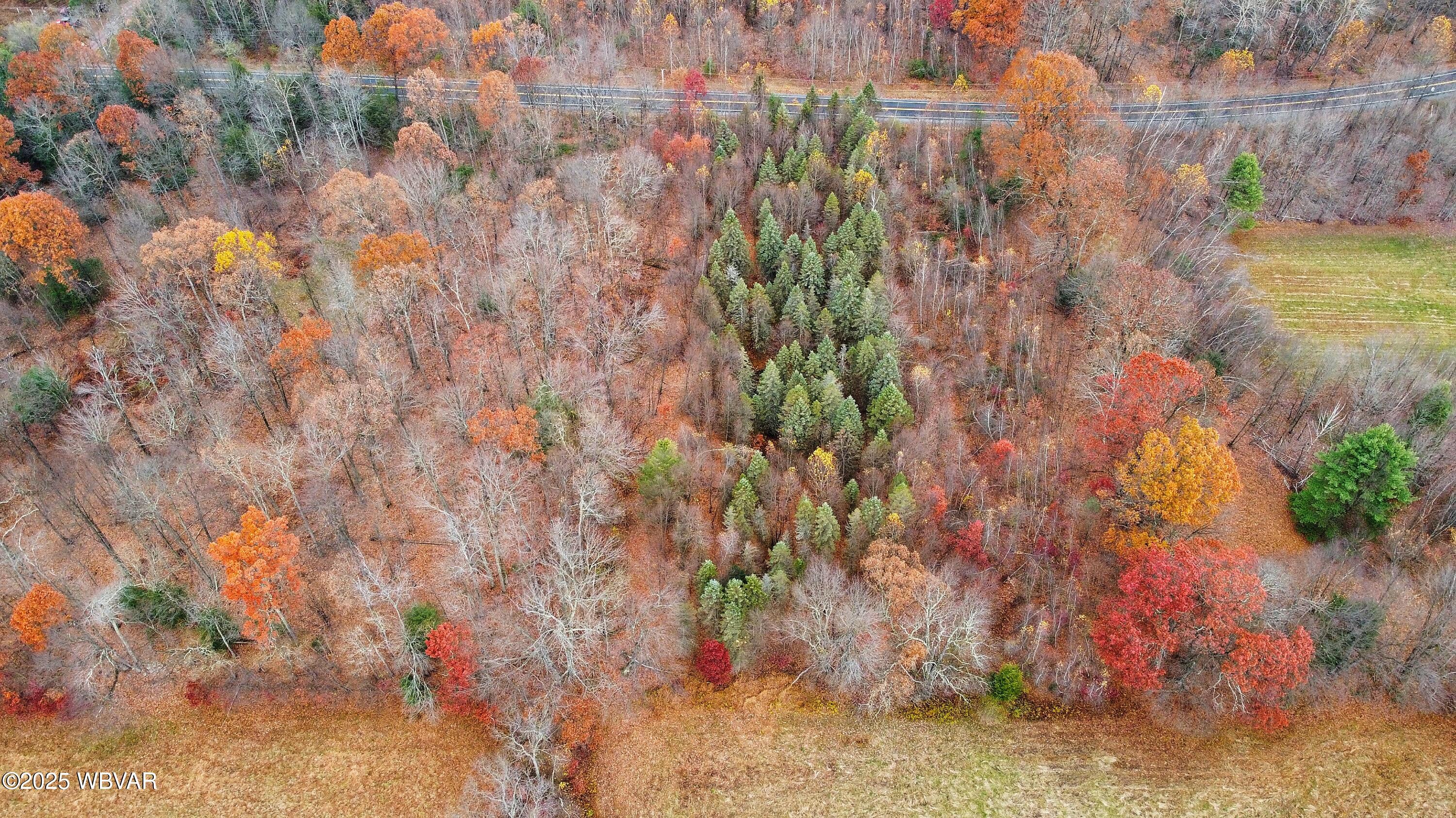 Properties 4 PA-239 HWY