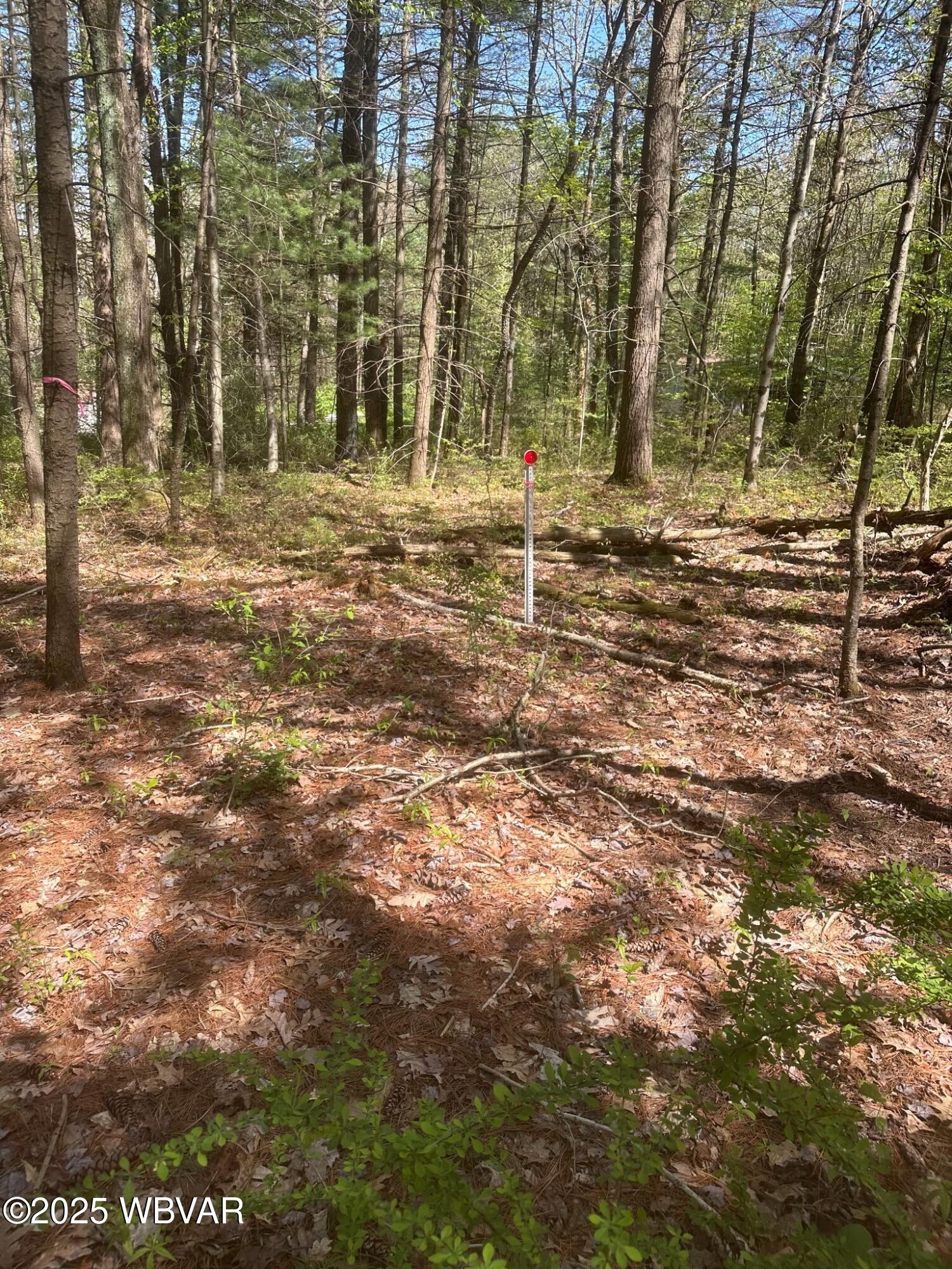 110 A 4TH GAP RD