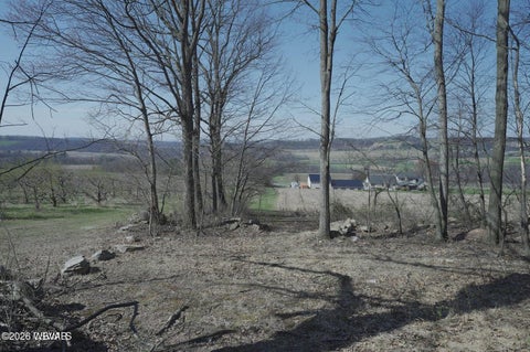 Photo for PARCEL 089 W MOUNTAIN ROAD