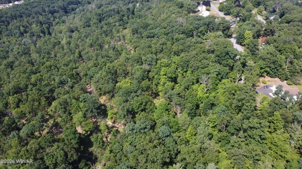 LONGVIEW DR, WILLIAMSPORT, PA 17701 - Image ed5f9baf0e1fd65b4e4af72b9e80b5da/3438597585