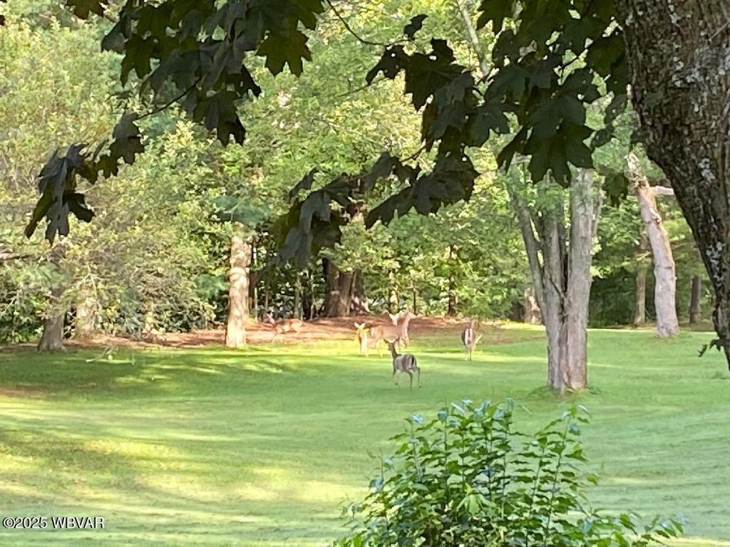 Photo of 8 MARSH HILL ROAD, Trout Run, PA 17771 (MLS # WB-102940)