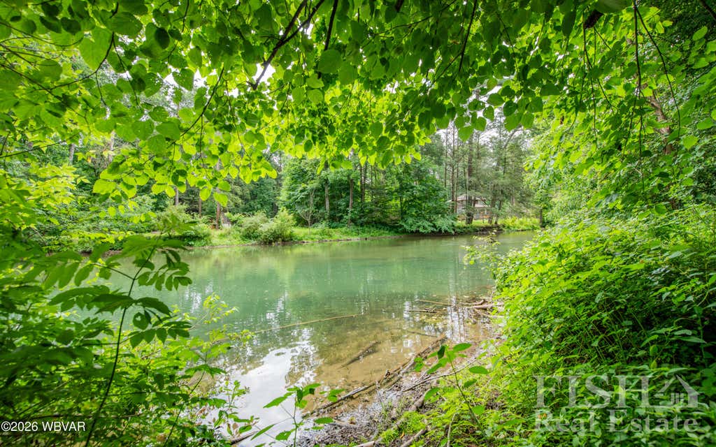 Photo of 44 HILL STREET, Mill Hall, PA 17751 (MLS # WB-104354)