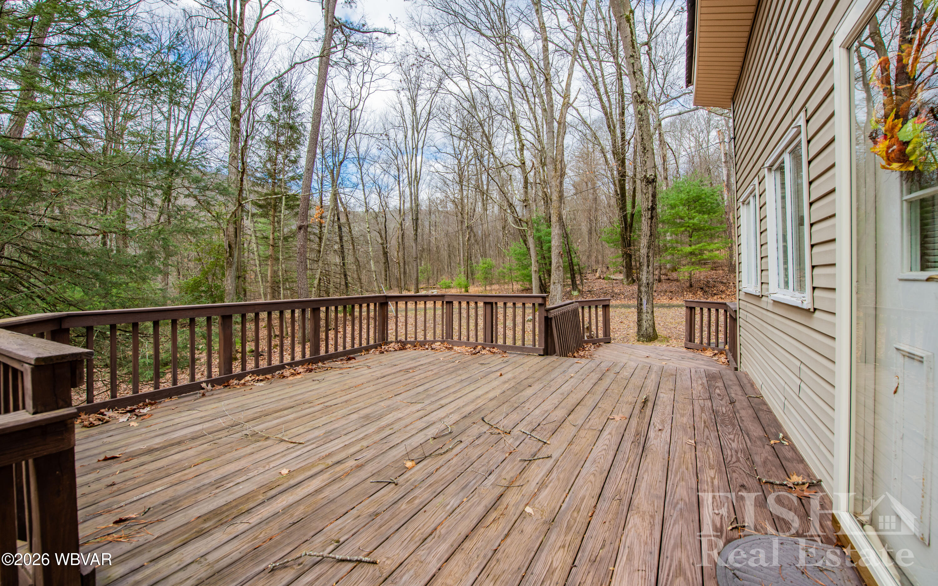 10296 renovo road