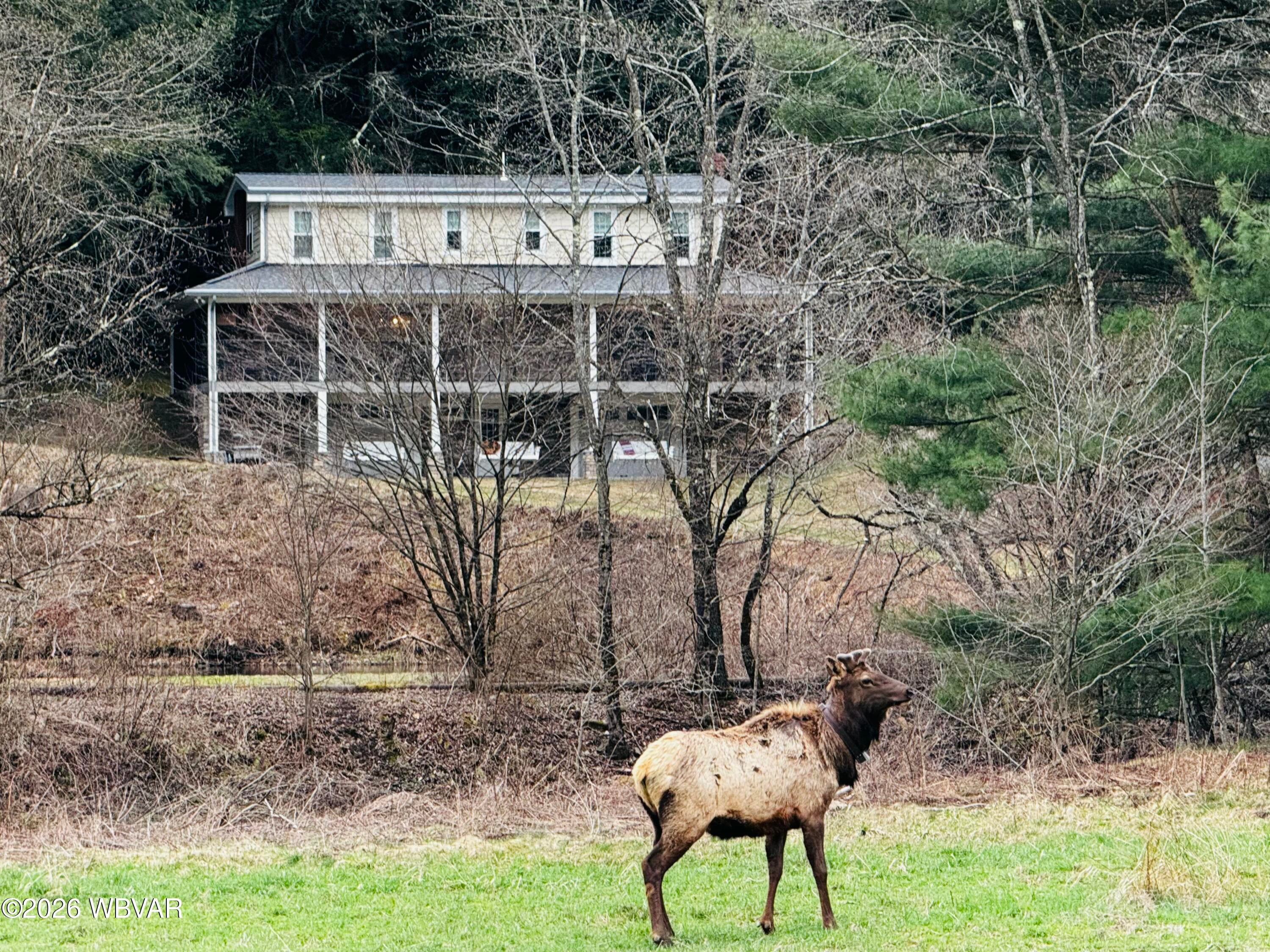 2066 first fork road