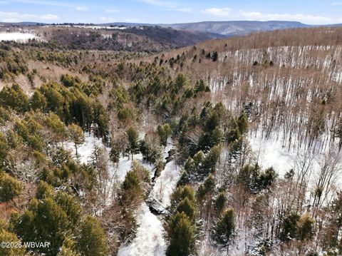 Properties 55 814 ROUTE 4008 Forksville PA 18616