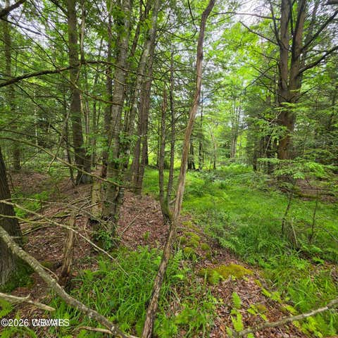 Photo for PARCEL 095 PAYNE RUN LANE