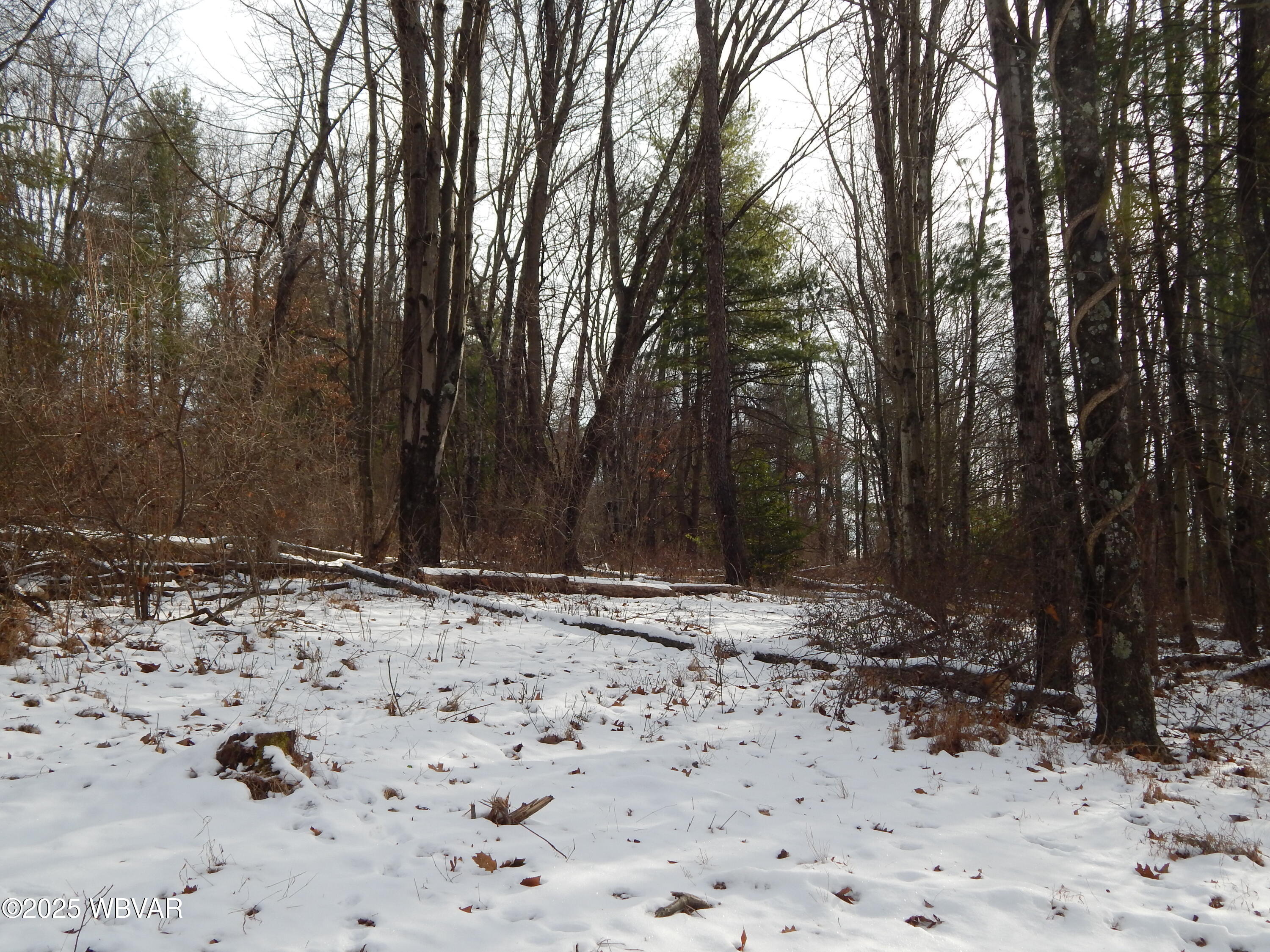 Properties 4 2110 NORTHWAY ROAD