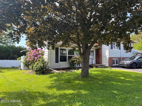 25\/29 Walnut Street, Montoursville, PA 17754 - MLS#: WB-100827