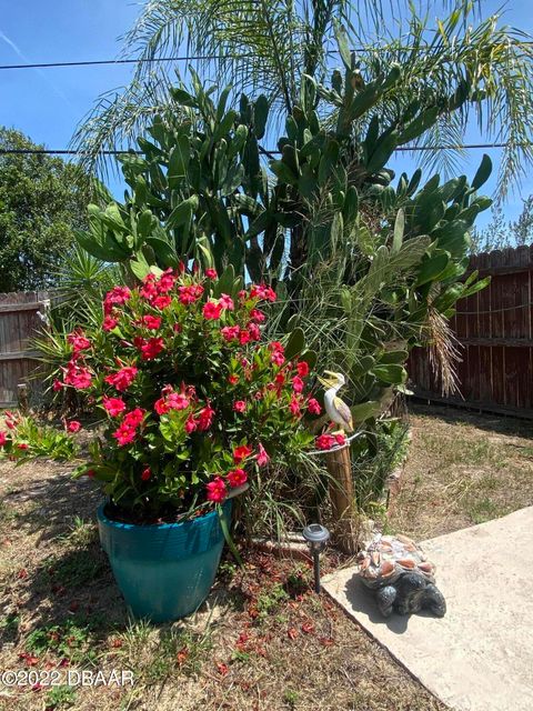 A home in Ormond Beach