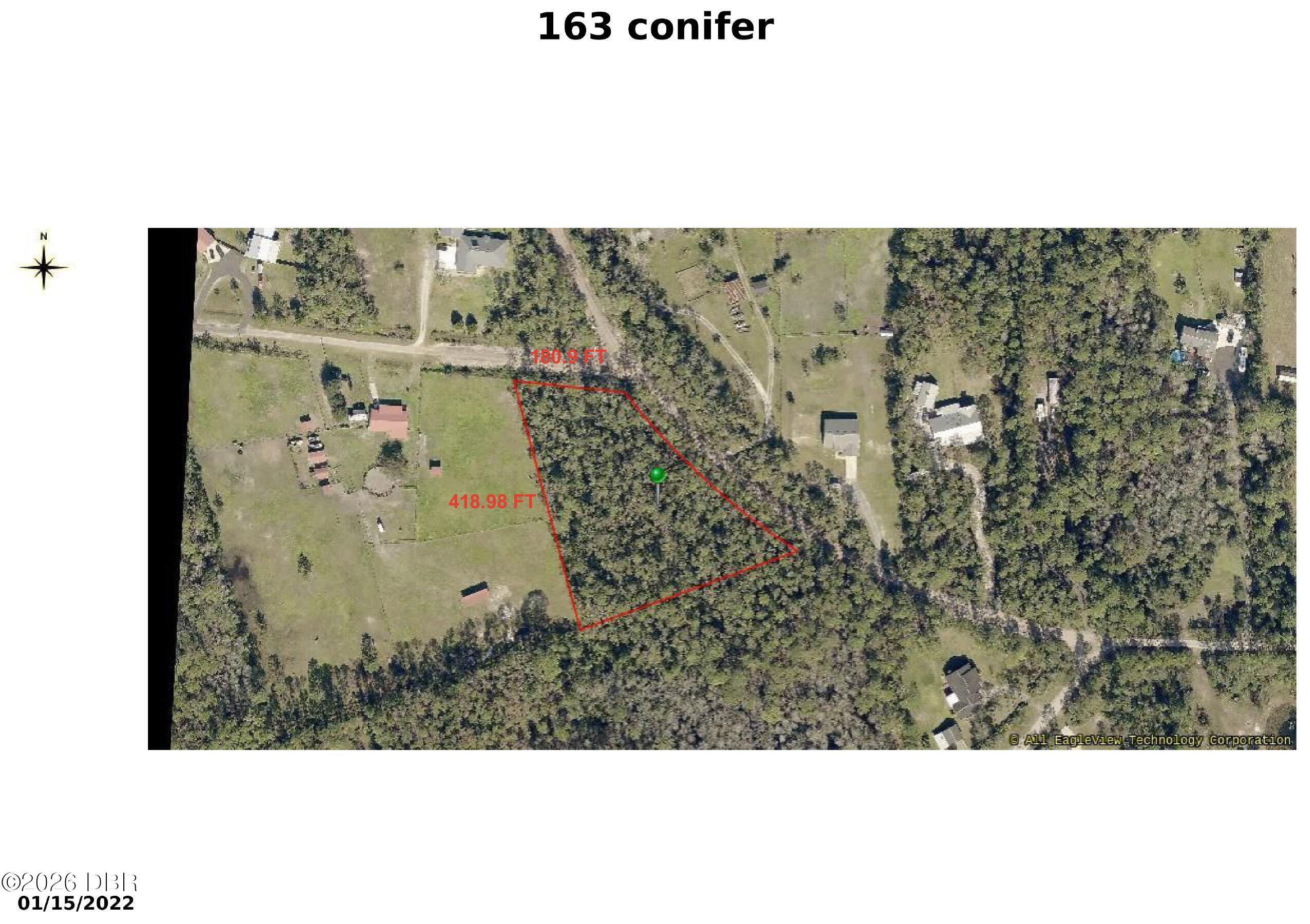 163 Conifer Lane