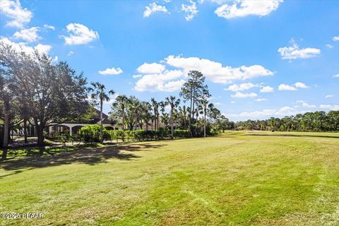 A home in Ormond Beach