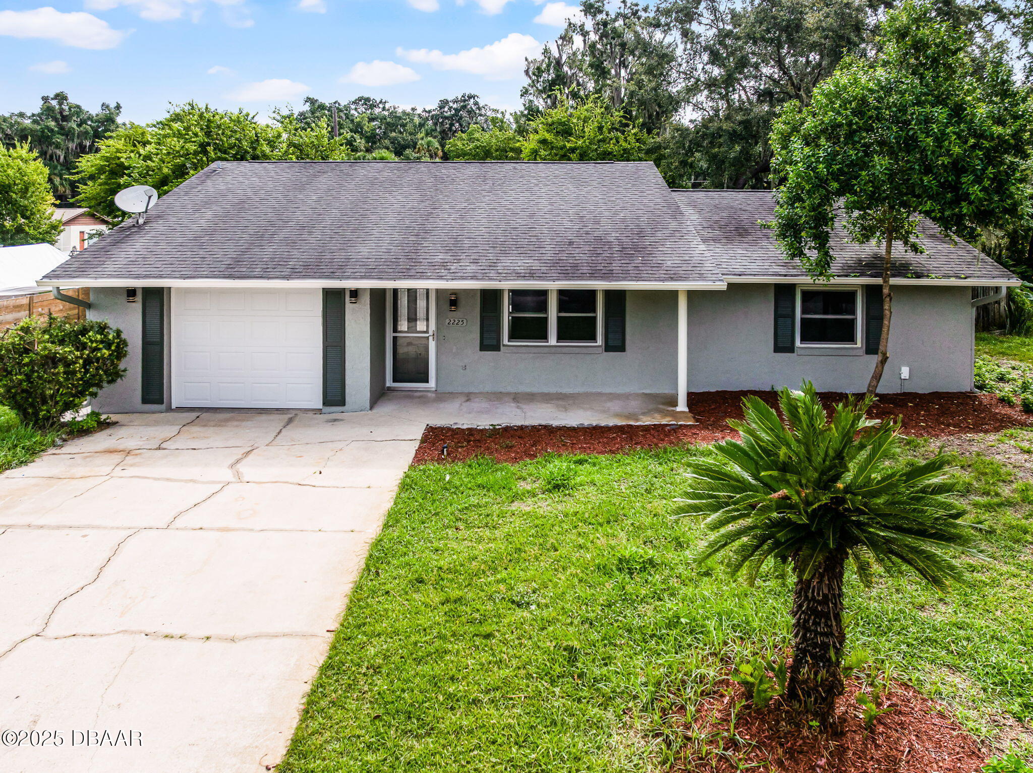2225 Pine Tree Drive