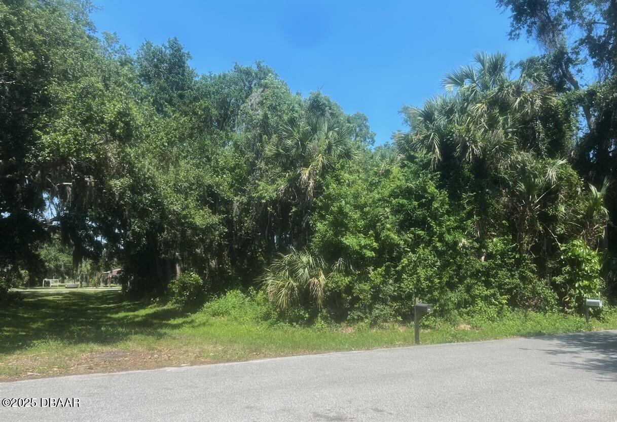 00 Orange Tree Drive