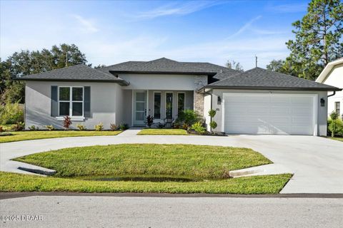 A home in Palm Coast