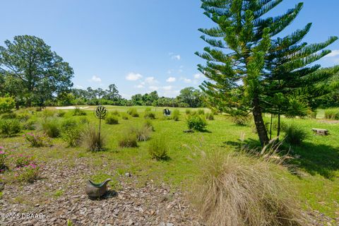 A home in Palm Coast