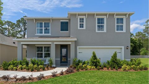 2221 Lake Preserve Circle New Smyrna Beach FL 32168
