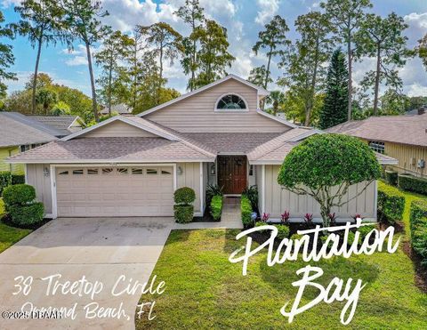 38 Treetop Circle Ormond Beach FL 32174