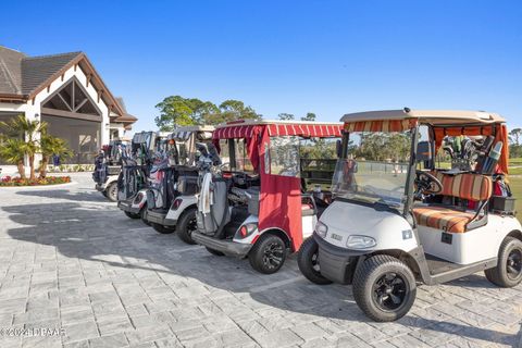 A home in Ormond Beach