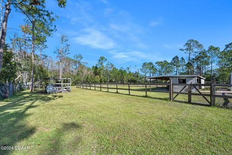 A home in Ormond Beach