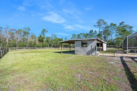 A home in Ormond Beach