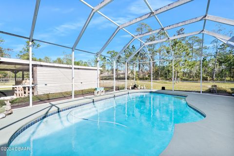 A home in Ormond Beach