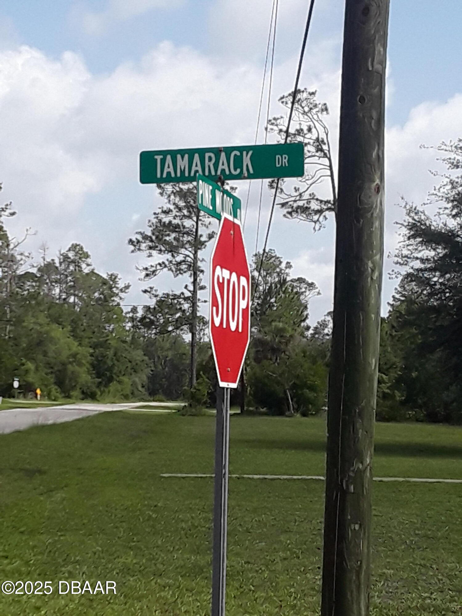 3674 Tamarack Drive