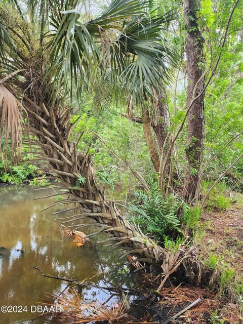 A home in Ormond Beach