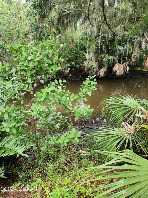 A home in Ormond Beach