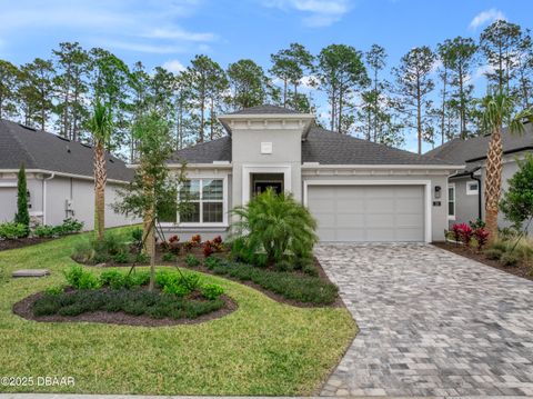 A home in Ormond Beach