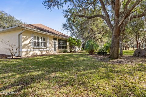 A home in Ormond Beach