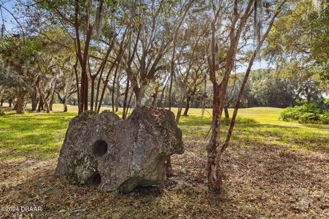 A home in Ormond Beach