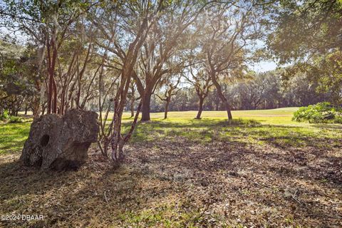 A home in Ormond Beach