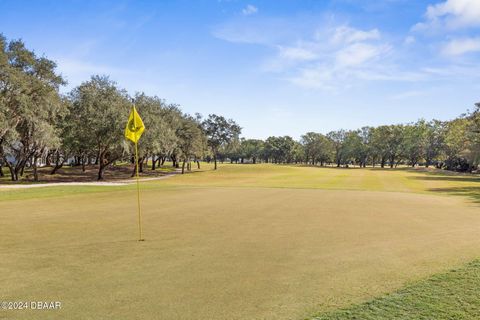 A home in Ormond Beach