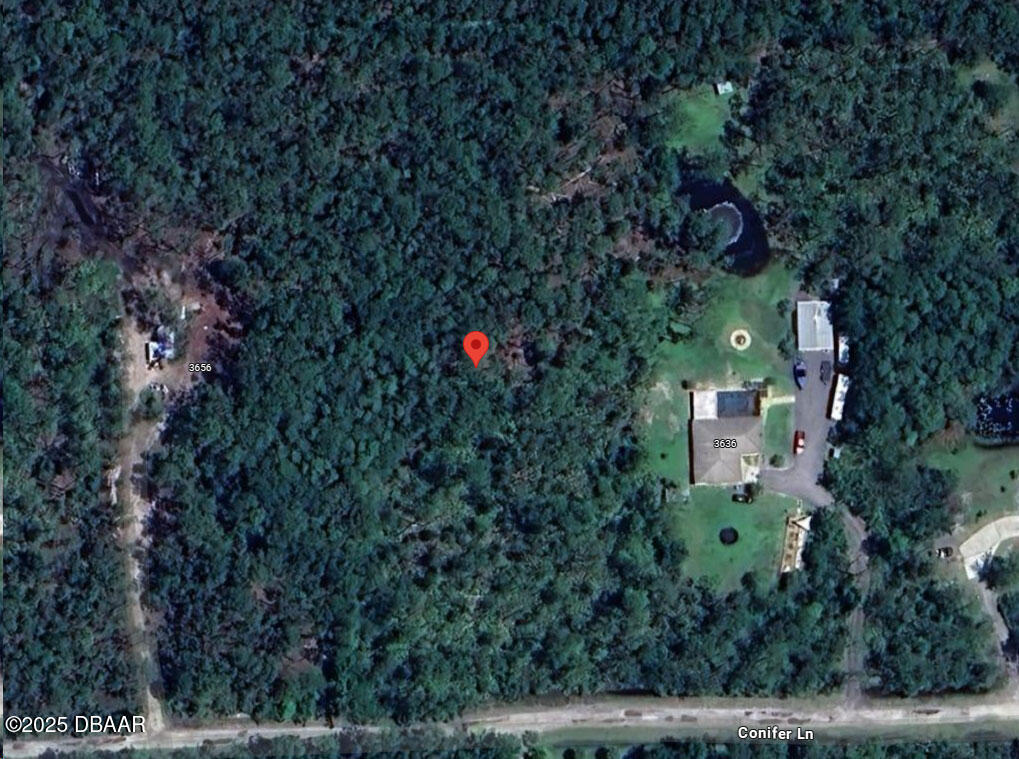 3646 Conifer Lane
